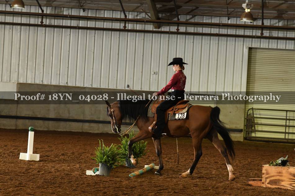 Proof 18YN_04028