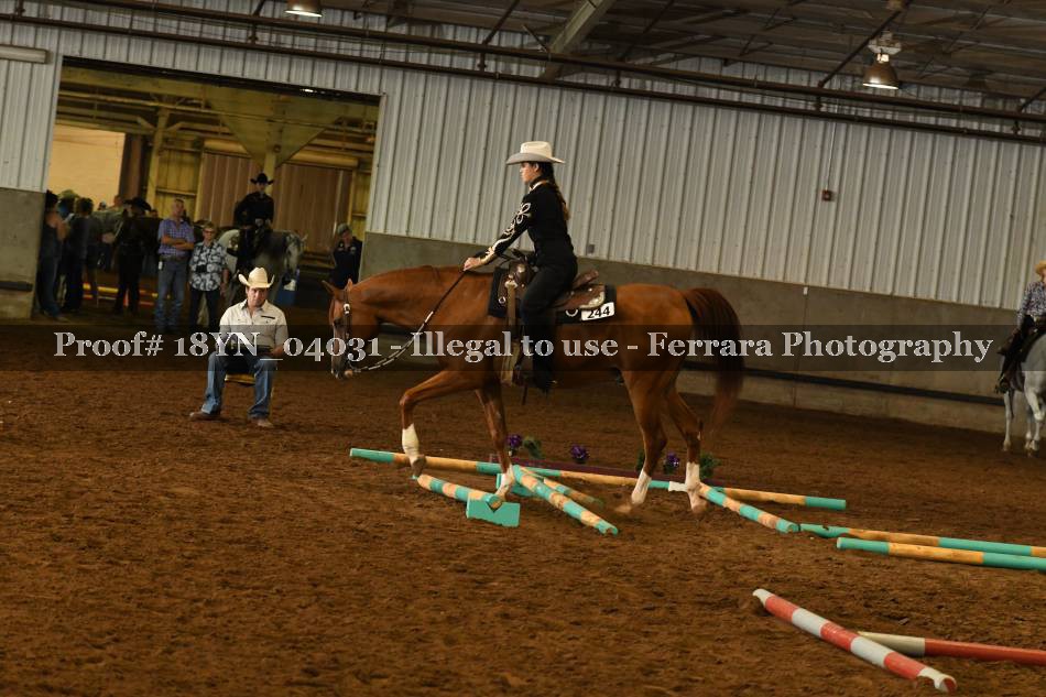 Proof 18YN_04031