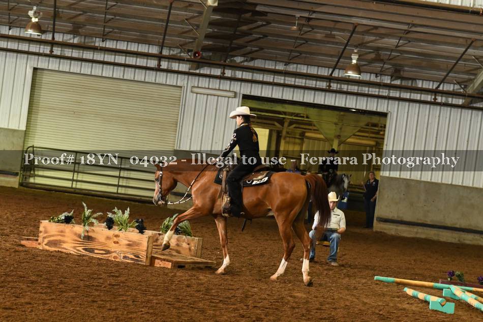 Proof 18YN_04032