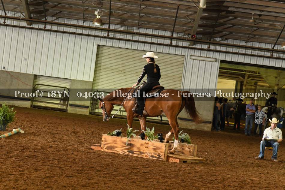 Proof 18YN_04033