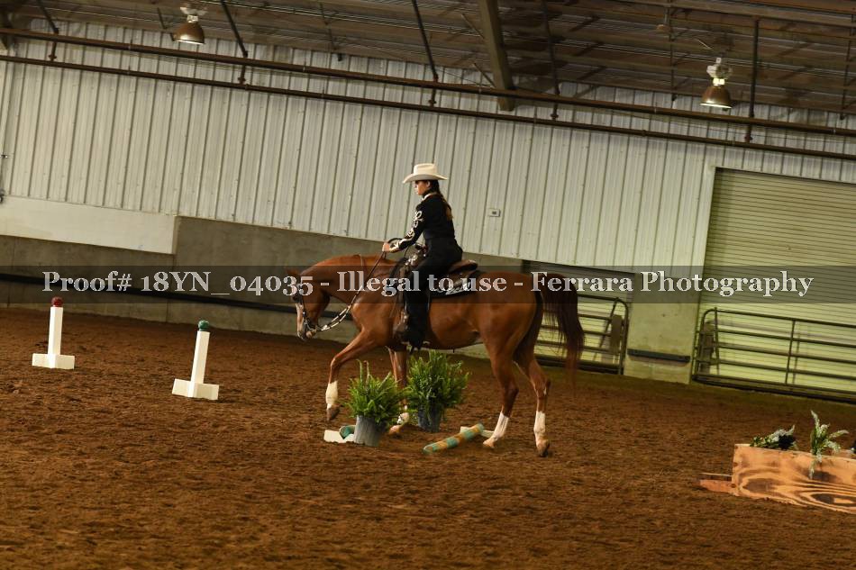 Proof 18YN_04035