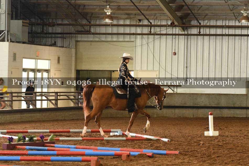 Proof 18YN_04036