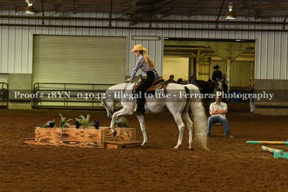 Proof 18YN_04042