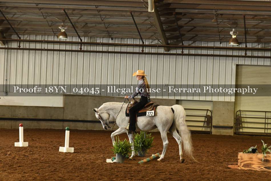 Proof 18YN_04045
