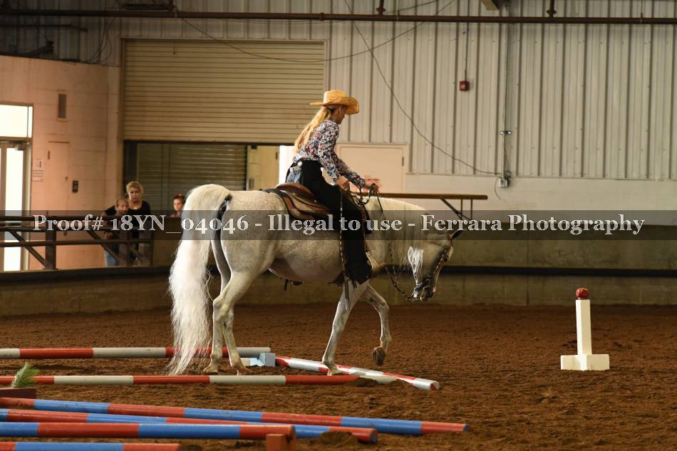 Proof 18YN_04046