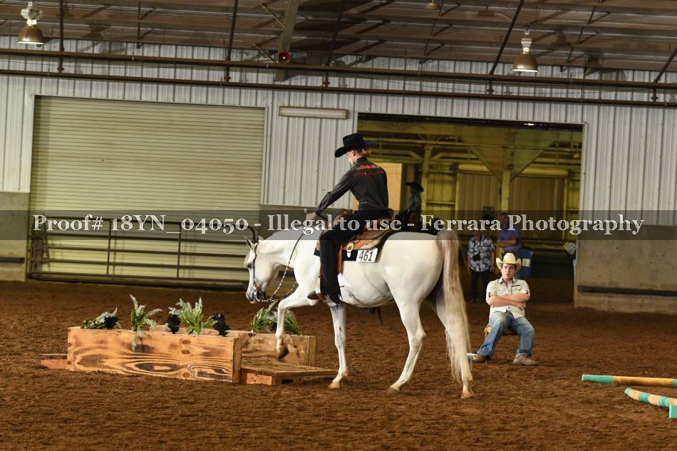Proof 18YN_04050
