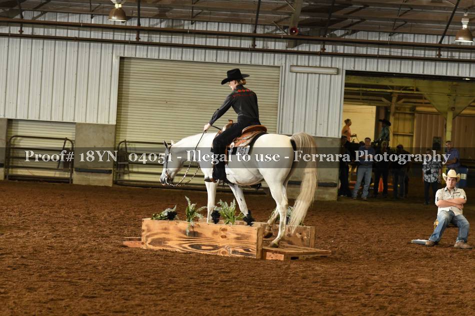 Proof 18YN_04051