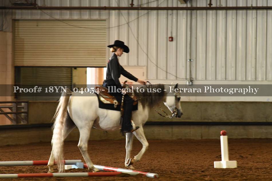 Proof 18YN_04054