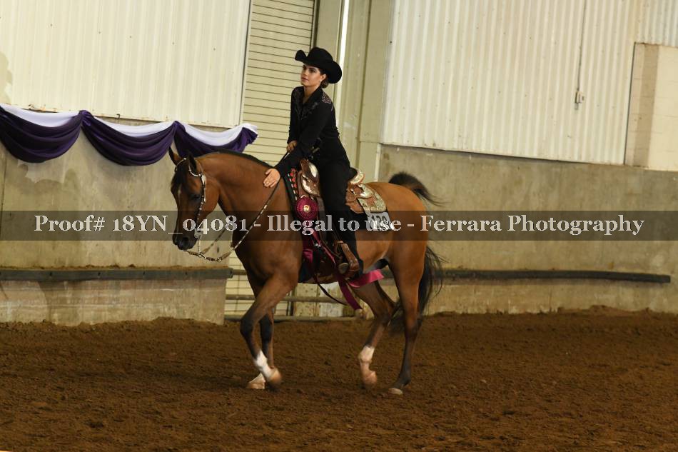 Proof 18YN_04081