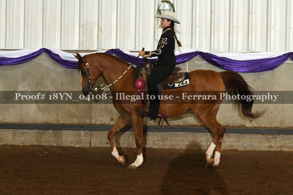 Proof 18YN_04108
