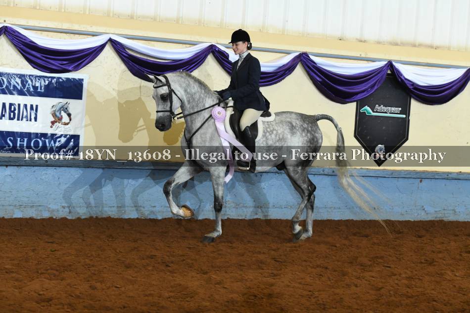 Proof 18YN_13608