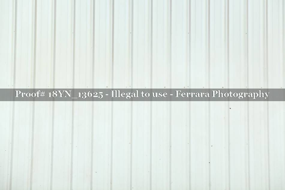 Proof 18YN_13625