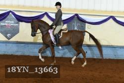 18YN_13663 proof