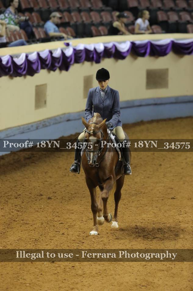 Proof 18YN_34575