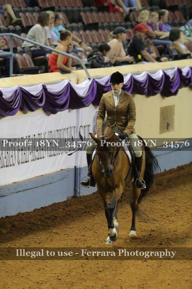 Proof 18YN_34576