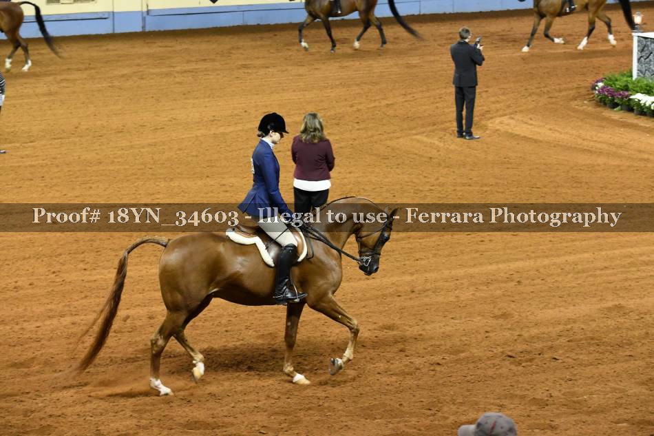 Proof 18YN_34603