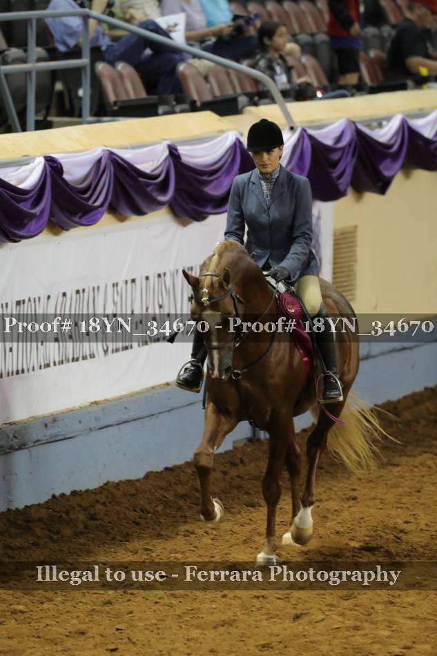 Proof 18YN_34670