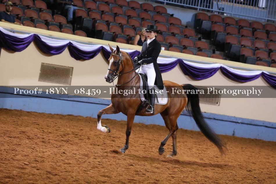 Proof 18YN_08459