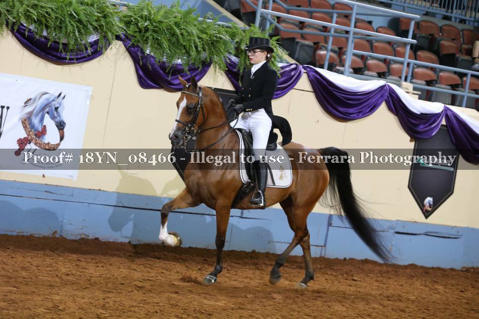Proof 18YN_08466