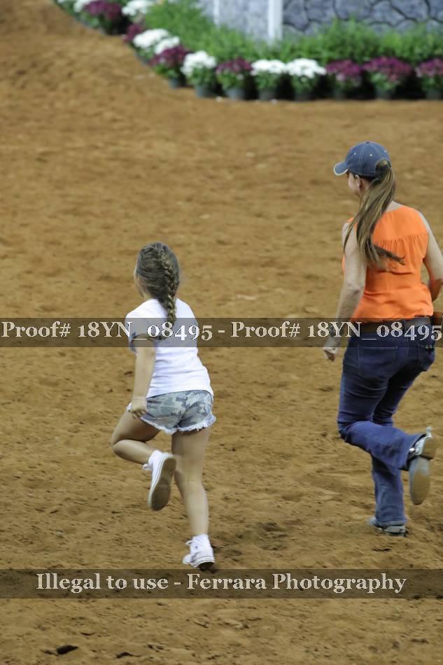 Proof 18YN_08495