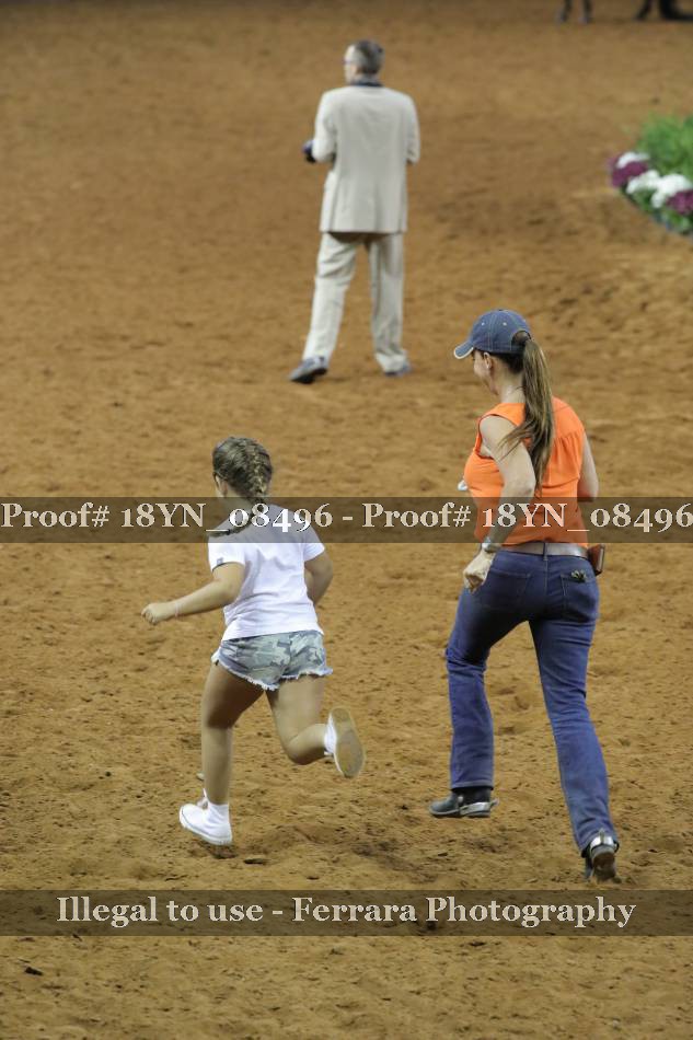 Proof 18YN_08496