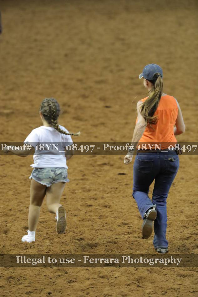 Proof 18YN_08497