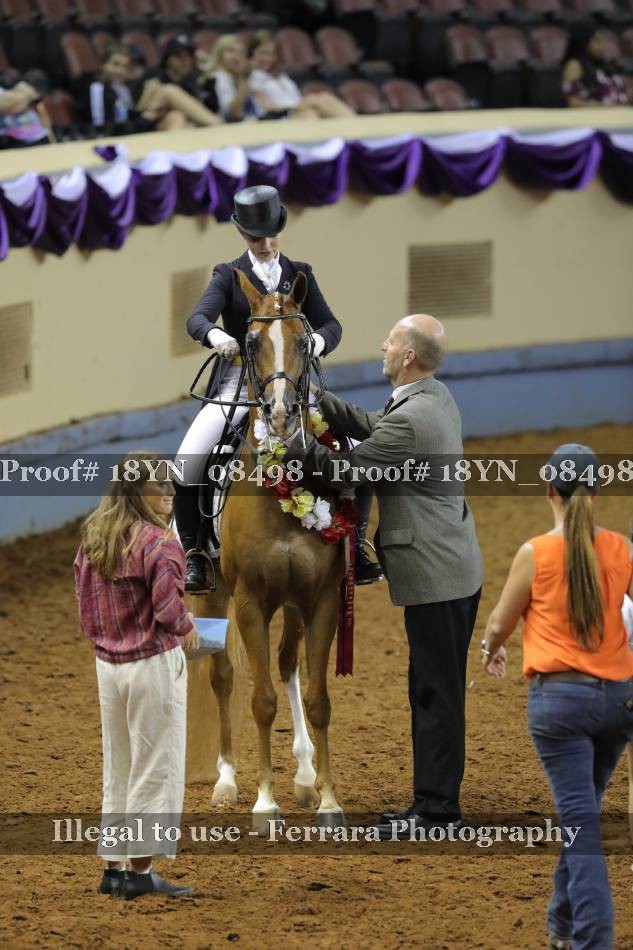 Proof 18YN_08498