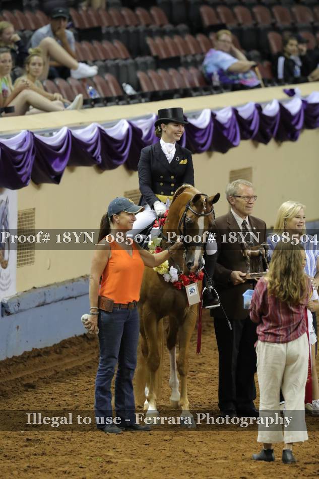Proof 18YN_08504