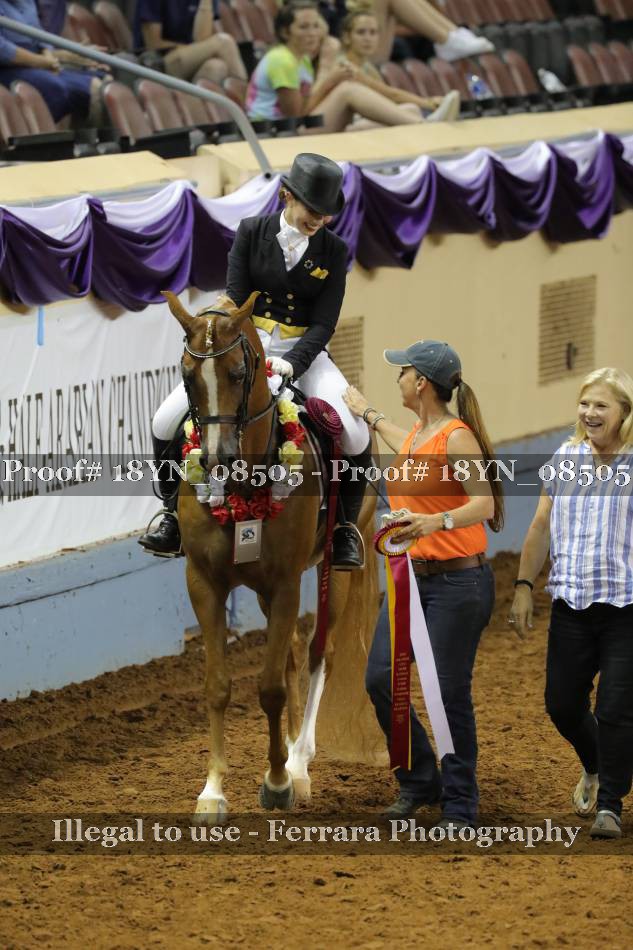 Proof 18YN_08505