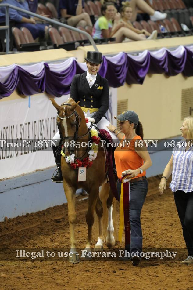 Proof 18YN_08506