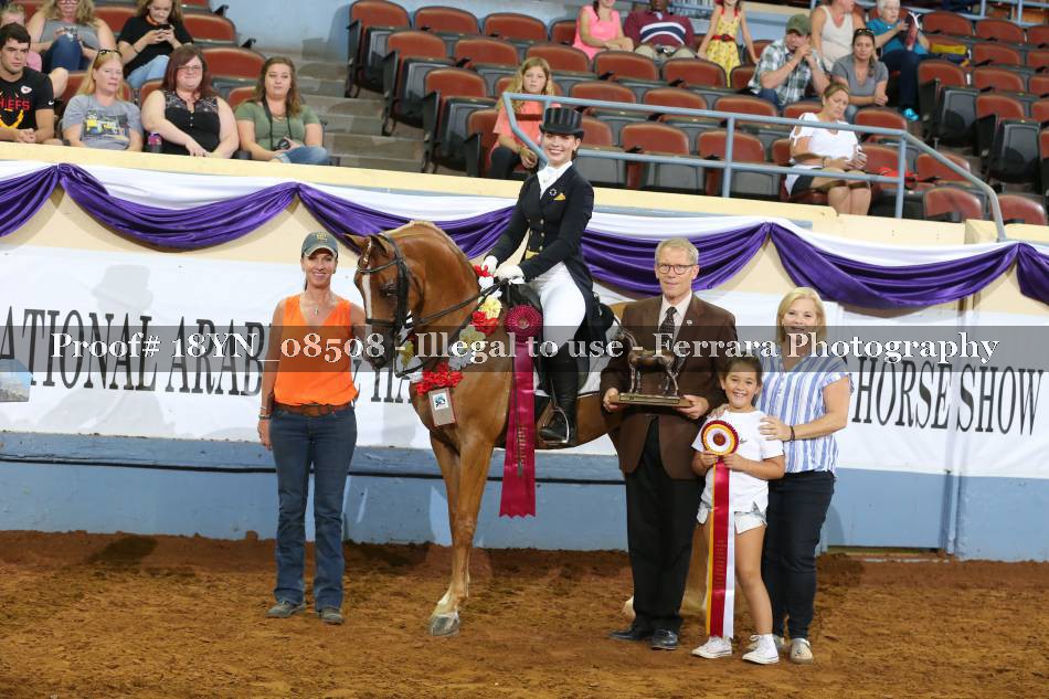 Proof 18YN_08508