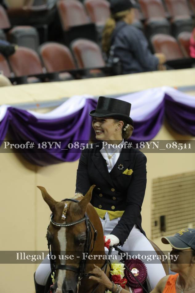 Proof 18YN_08511