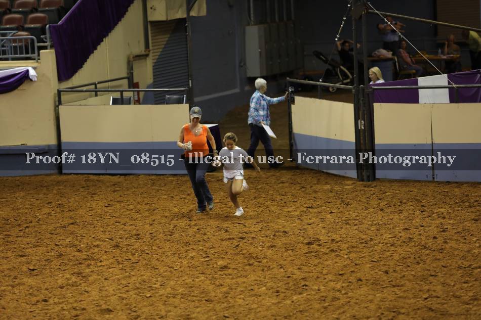 Proof 18YN_08515