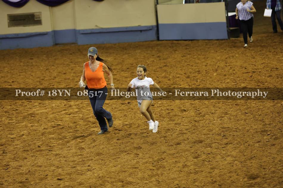Proof 18YN_08517