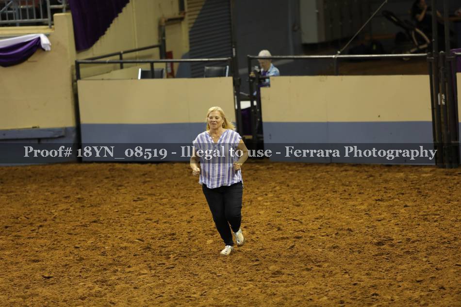 Proof 18YN_08519