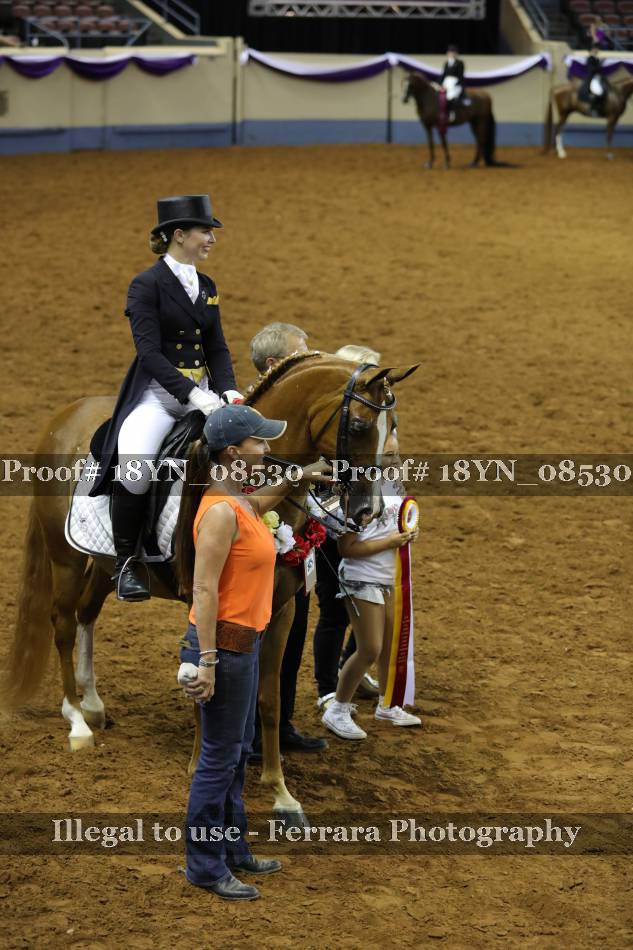 Proof 18YN_08530