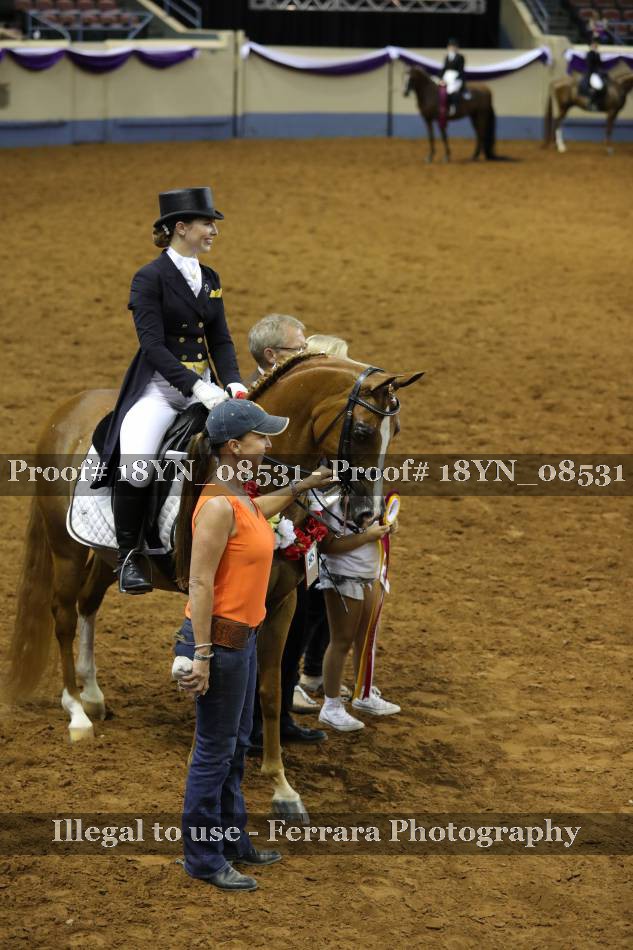 Proof 18YN_08531