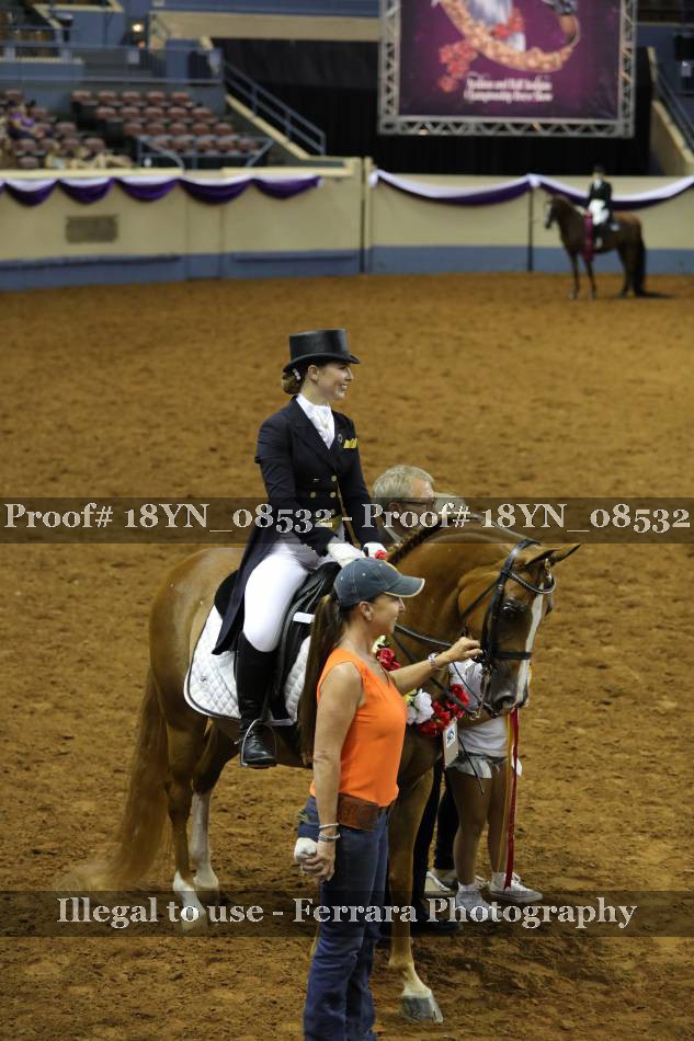 Proof 18YN_08532