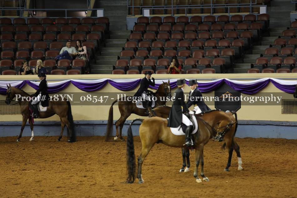 Proof 18YN_08547
