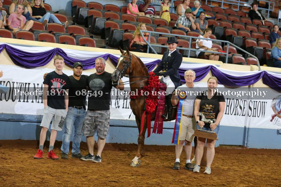Proof 18YN_08549