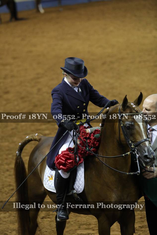 Proof 18YN_08552