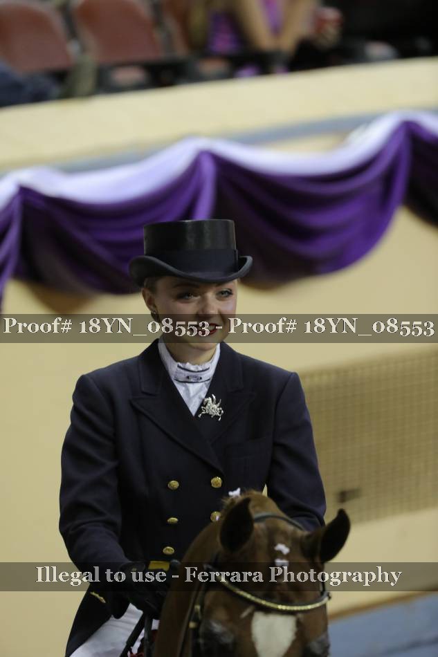 Proof 18YN_08553