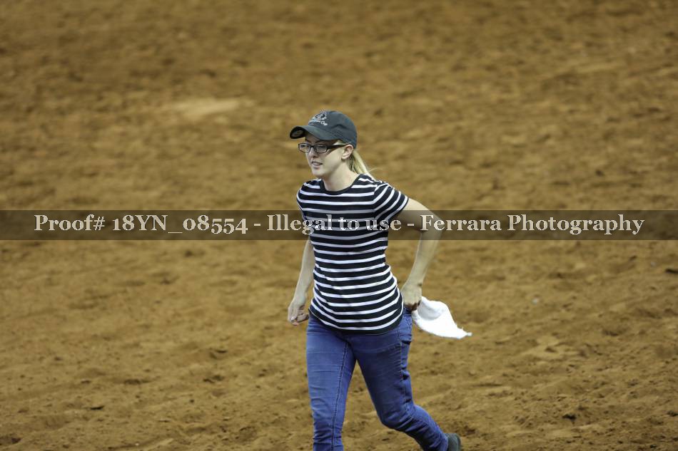 Proof 18YN_08554