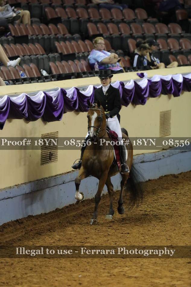 Proof 18YN_08556