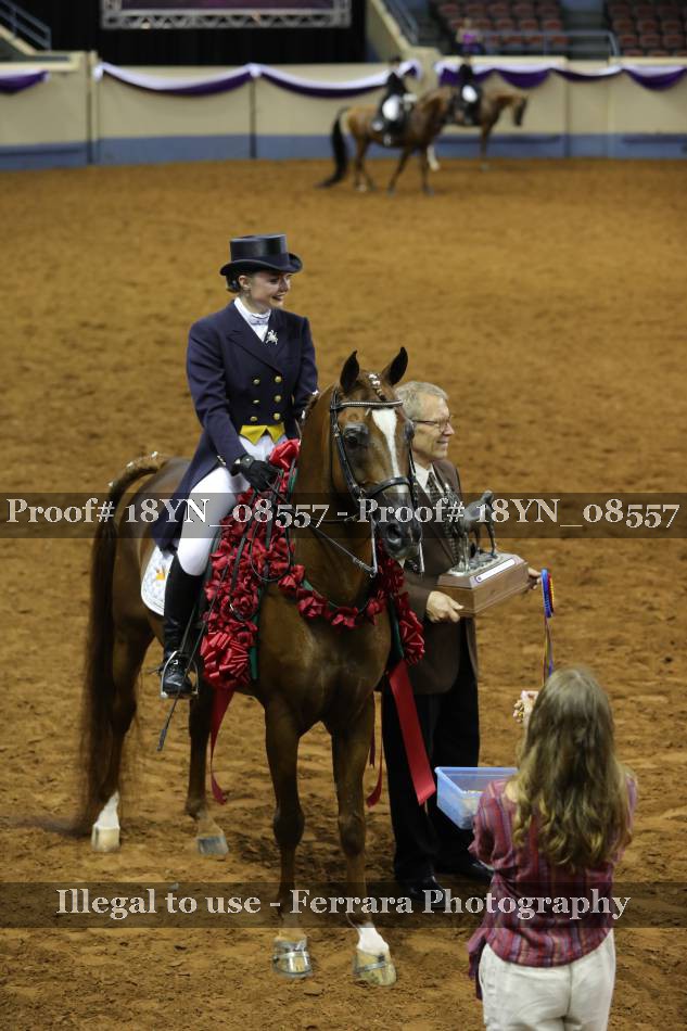 Proof 18YN_08557