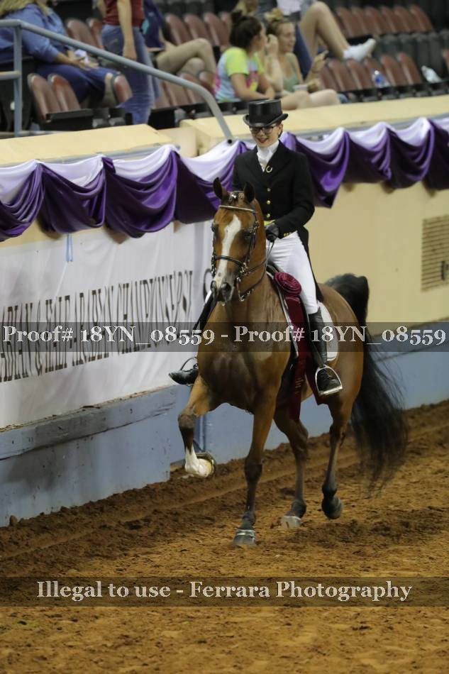 Proof 18YN_08559