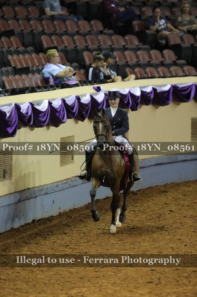 Proof 18YN_08561