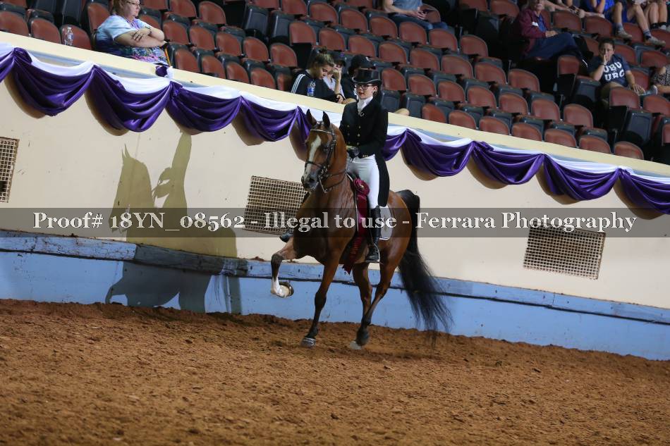 Proof 18YN_08562