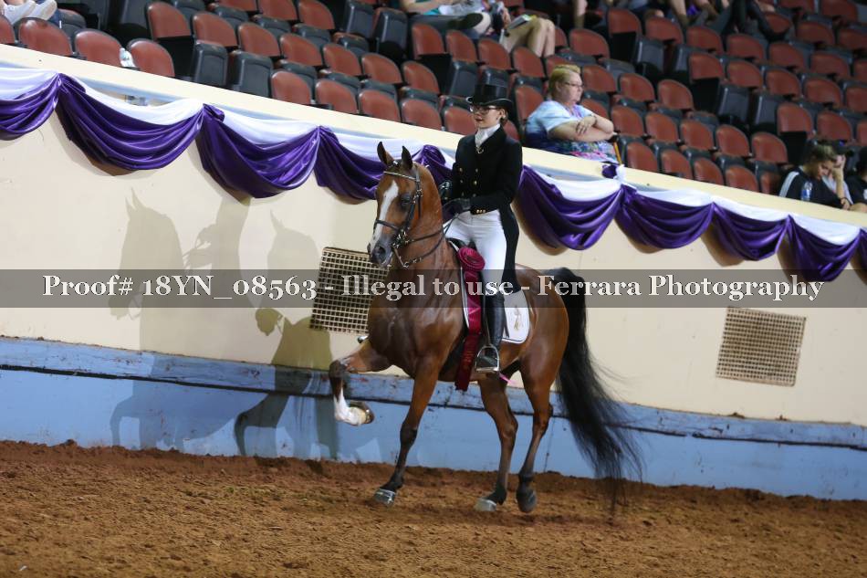 Proof 18YN_08563
