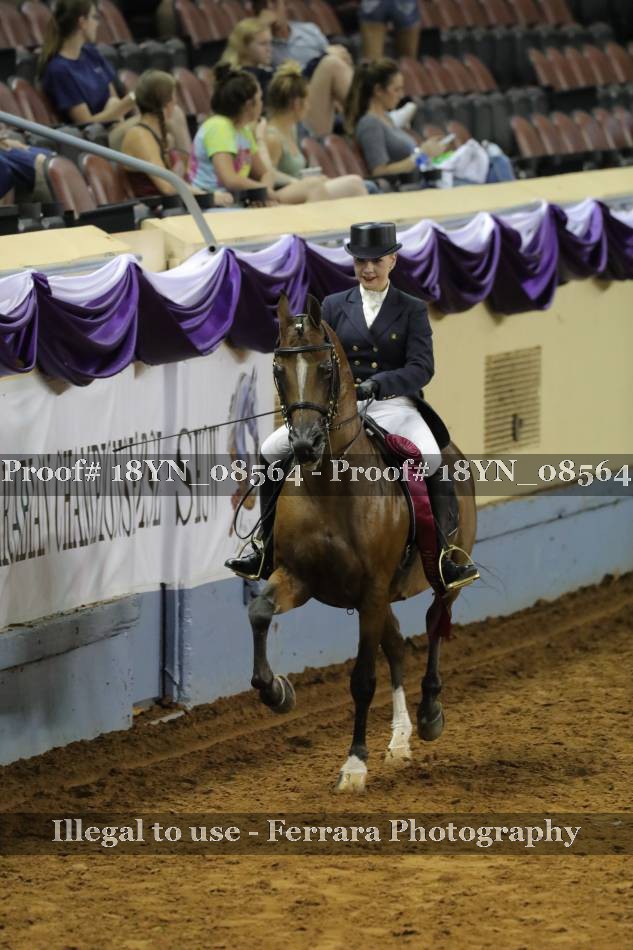 Proof 18YN_08564
